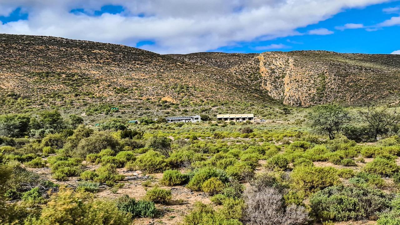 Rooiberg Wild Private Game Reserve Ladismith Exterior foto